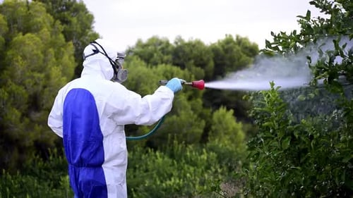 Spraying Pesticide on Trees with Protective Suit