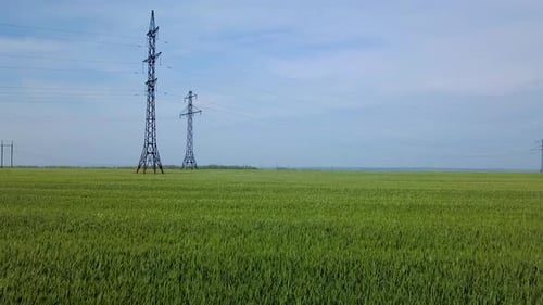 Aerial View of Green Field With Powerlines