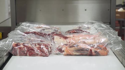 Chunks of Meat on a Conveyor Belt