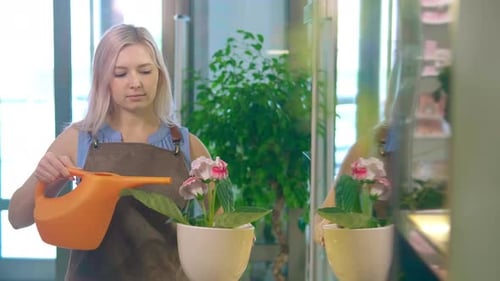 Woman Wears Apron and Waters Potted Flower