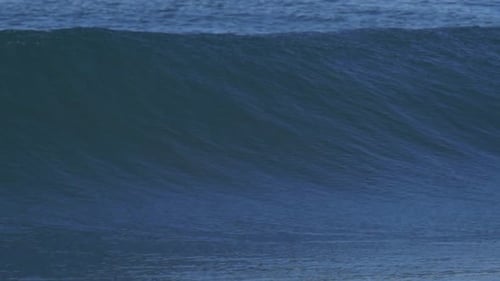 Waves break in surf line.