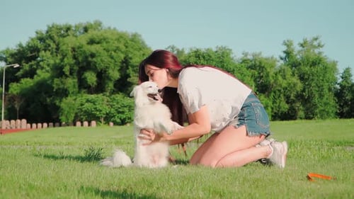 Happy Beautiful Woman with Red Hair Plays With A White Small Dog on Green Lawn in Park. Slow motion