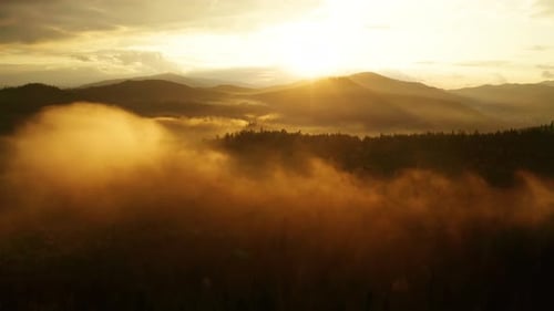 Majestic Mountains and Foggy Forest at Sunrise