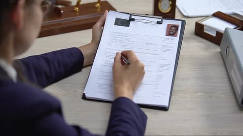 Embassy Worker Checking Visa Application, Official Permission, Migration Law