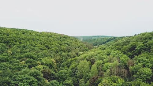 spectacular landscape of the green hills with forests and a river between them. Aerial view.