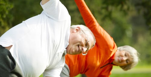 Senior Couple Stretching in a Grassy Park
