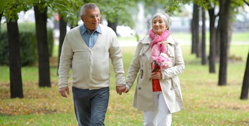 Elderly Couple Holds Hands and Walks in Park