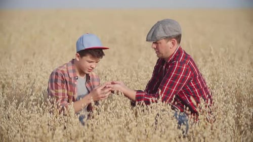 Farmers Examining Crops in Golden Field