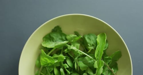 Vídeo de primer plano de tazón de hojas de ensalada fresca sobre fondo gris