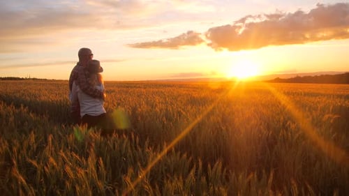 Young caucasian couple hugging while watching sunset in a barley field