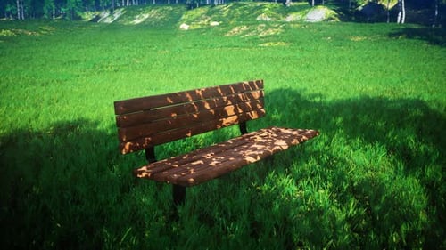Shady Wooden Bench On The Windy Grass field 4K 02