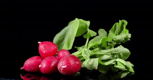 Radishes with Leaves on the Table Slowly Rotates.