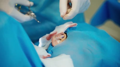 Surgeon hands performing operation. Close up of performing cosmetic surgery on ear