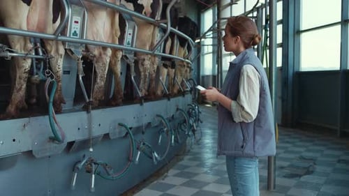 Processus de traite de contrôle d'agriculteur tenant un ordinateur de tablette