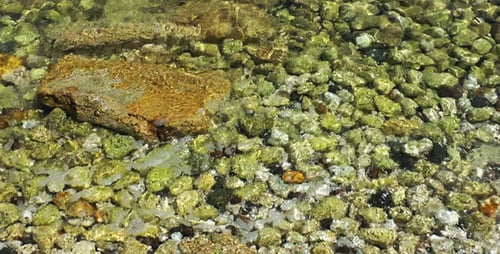 Felsen in der Nähe des Meeres - 7