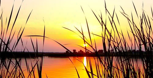 Peaceful Sunset over a Calm Lake with Reeds