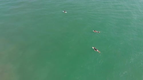 Surfers Paddling in the Turquoise Ocean from Above