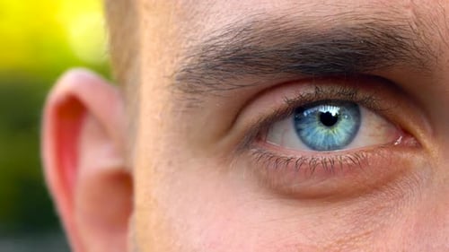 Beautiful Blinking Male Eye Closeup