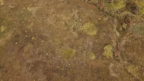 Landscape with a Bird's Eye View