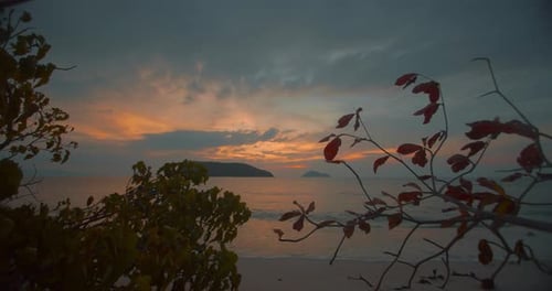 Sunset beach time lapse with trees and island view