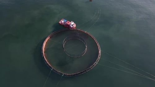 Salmon Pool