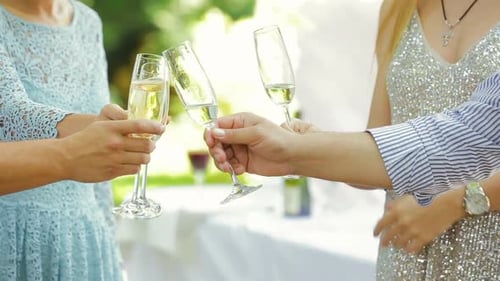 Friends Toasting Champagne Glasses at Outdoor Celebration