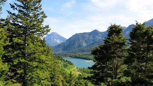 Flying close to pine trees and then over a valley with a lake and rugged mountains in the background