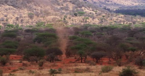 951883 Staubwirbel, kleiner Tornado in der Savanne, Tsavo Park