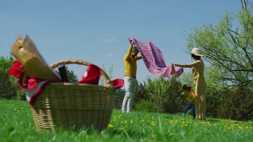 Family Spreads Picnic Blanket on a Grassy Meadow