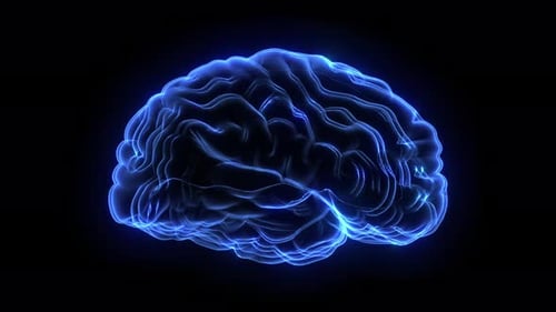 Glowing Blue Digital Human Brain Rotation
