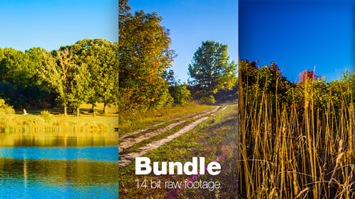 Beautiful Lake and Field on Sunny Day