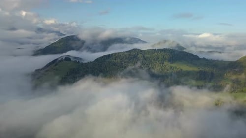 Aerial Panoramic Foggy Forest