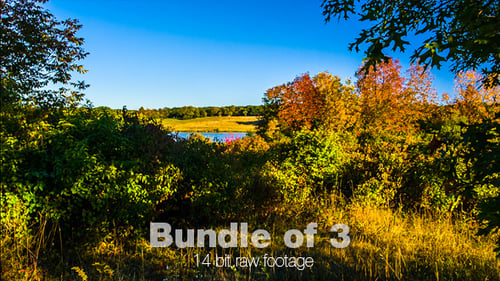 Scenic Lake Landscape in Autumnal Colors