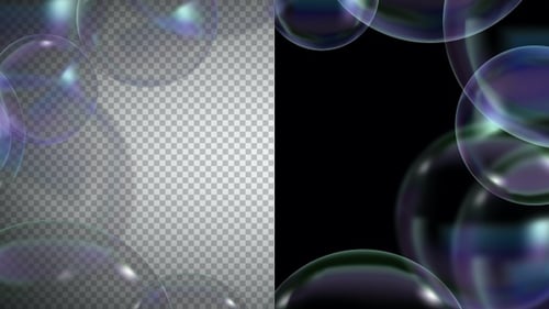 Holiday Frame and Transitions