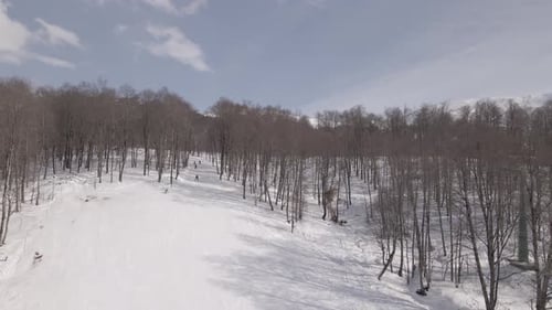 Aerial view of the ski resort with snowy mountain slopes and winter trees.