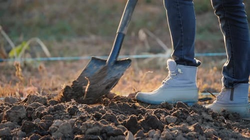 A Man Digs the Ground in His Garden, Preparing the Soil for Planting Trees