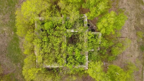 Abandoned House Ruins