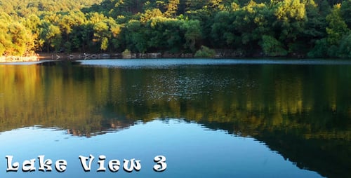 Lake View 3