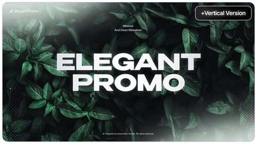 Elegant Promo