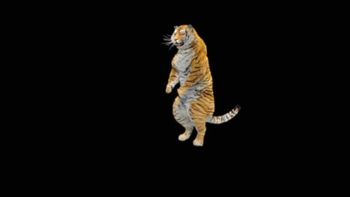 68 Tiger: Tanzen HD