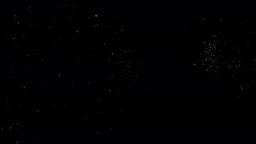 Brilliant Fireworks Exploding in the Night Sky