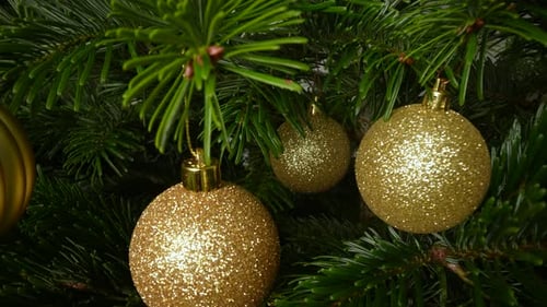 Gold Ornaments on Christmas Tree Branches