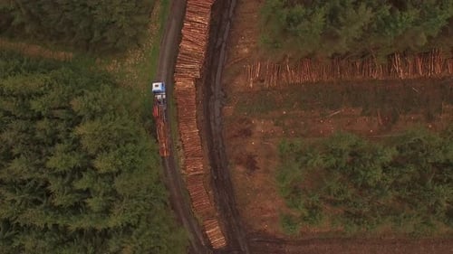 Forestry and logging operations taking place in the highlands of Scotland using large industrial mac