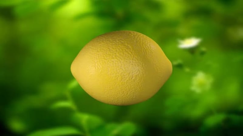 Exploding Orange Fruit with Alph 4K, Elements Motion Graphics ft. alpha ...