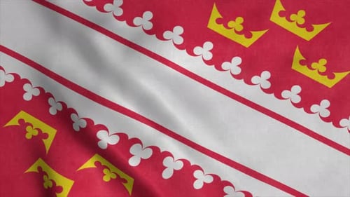 Waving Flag with Crowns and Clover Pattern Animation
