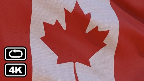 Seamless Loop 4K Flagge