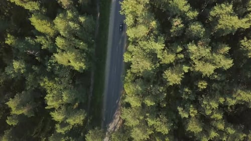 Forest Road From Above