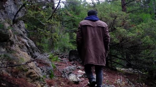 Bild des Menschen, der im Herbst im Wald spaziert