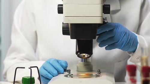 Scientist Adjusting Microscope in Medical Laboratory