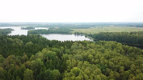 Lake Sosno 07